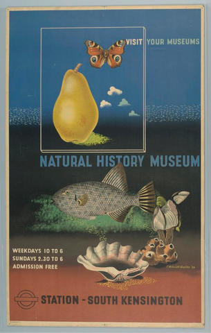 Affiche « Natural History Museum ». Reproduction intégrale de l’exemplaire conservé par Cooper Hewitt, Smithsonian Design Museum.